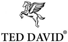 Ted David