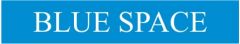 BRUE SPACE